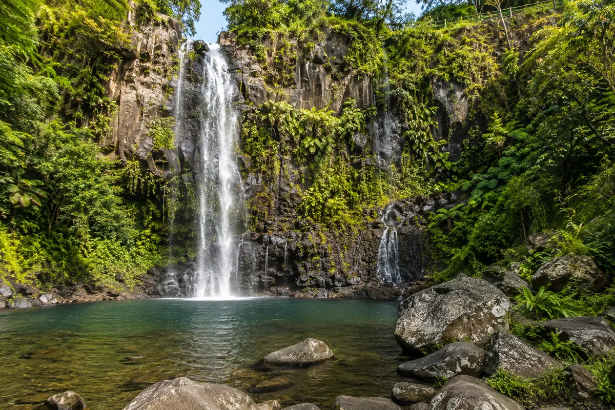 Cascade et bassin naturel dans la forêt tropicale de La Réunion